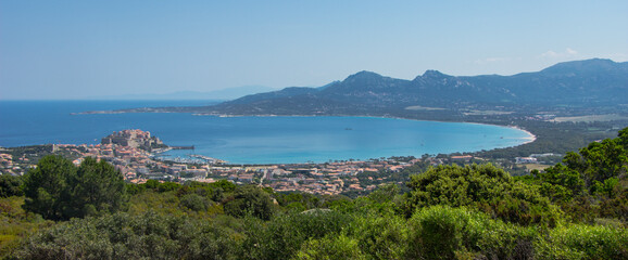 Calvi