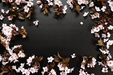 Frame with apricot flowers on a black surface