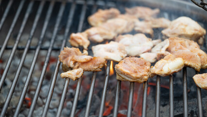 Grilled chicken breast on the flaming grill, real picture, dark background