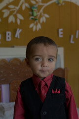 portrait of elegant little boy gesturing