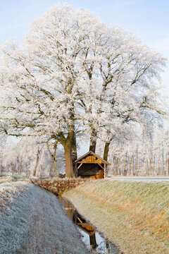 Idyllic winter landscape near Warendorf in Münsterland, Germany