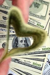 money in the form of heart