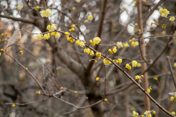 代々木公園の散歩