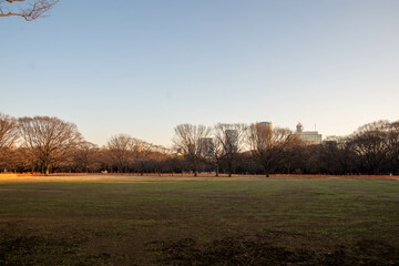 代々木公園の散歩