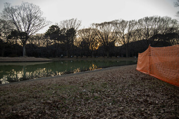 代々木公園の散歩