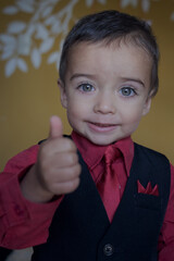portrait of elegant little boy gesturing
