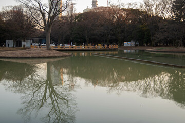 代々木公園の散歩