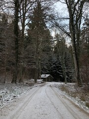 Cabaña de bosque en invierno