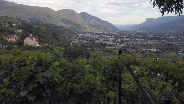 View of Merano valley with vineyard in South Tyrol, Italy