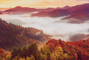 Fototapeta Misty mountain landscape obraz