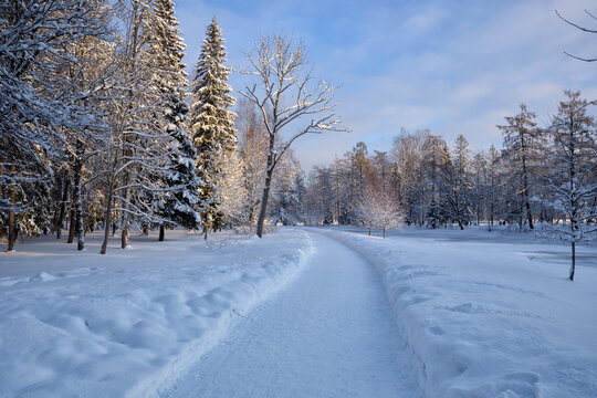 Beautiful winter landscape.
