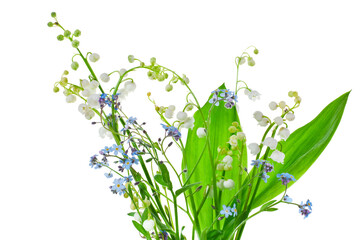 Lily of the valley or may bells flower with light blue "forget me nots" Myosotis spring flowers isolated on white background.