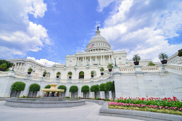 Obraz premium US Capitol Building in Washington DC, United States of America