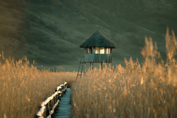 Sunrise over a lake with a wooden bird viewing hut and reeds