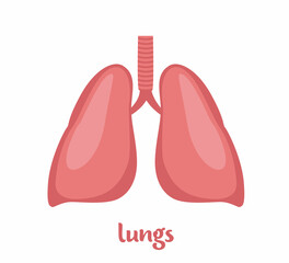 Fototapeta premium Lungs - human internal organ. Internal organ, anatomy. Vector flat icon illustration isolated on white background.