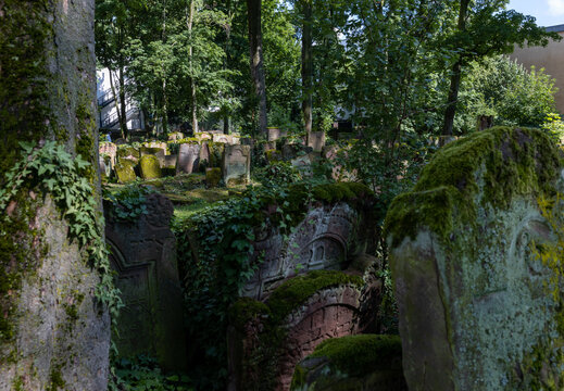 Jüdischer Friedhof Frankfurt
