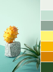 Color matching palette from image with yellow ragon fruit, pitahaya, balancing on granite stone...