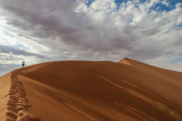 Fototapeta na wymiar Lone hiker ascending Big Daddy dune in Namibia