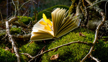Libro sobre musgo