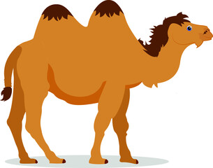 Desert_Camel