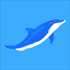 Dolphin_Illustration