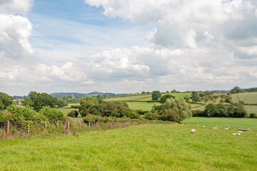 summertime scenery in the UK countryside.