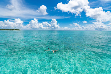 Man snorkeling in clear tropical waters in front of exotic island
