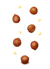 Falling down hazelnut kernels and crumbs isolated on white background. Realistic vector illustration.