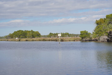 beautiful tree, clear water, house along homossasa river in winter.	