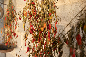 Naklejka premium Peperoncino