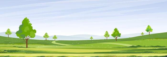Foto op Aluminium Spring time,Sunny day Summer landscape in village with green field,cloud and blue sky background.Rural countryside with mountain,grassland,sunlight in Morning,Vector Nature scenery cartoon background © Anchalee