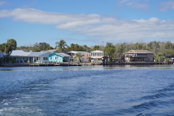 Naklejka premium beautiful tree, clear water, house along homossasa river in winter. 