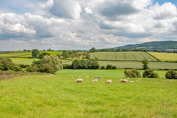 summertime scenery in the UK countryside.