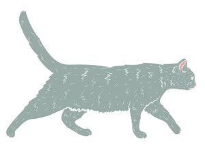Realistic walking grey cat in profile. Vector illustration.