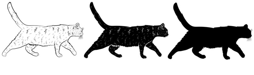 Set of Realistic black silhouette of a walking cat in profile. Vector illustration.