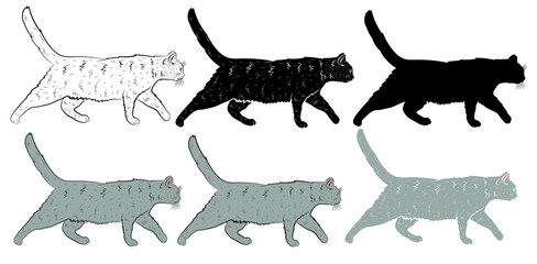 Set of Realistic walking grey cat in profile. Vector illustration.