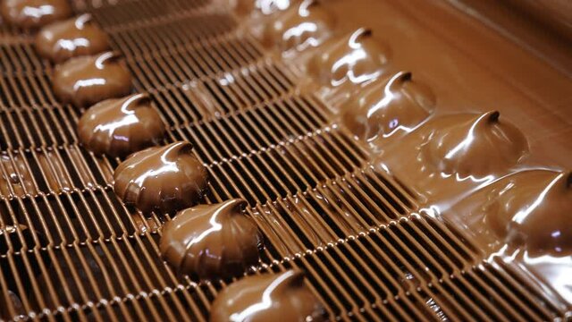 Chocolate sweet candies factory conveyor technology. Automatic confectionery factory line.