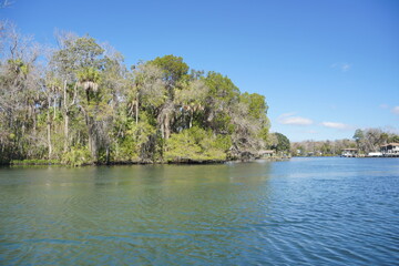 beautiful tree, clear water, and house along homossasa river in winter. 