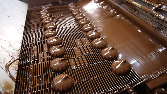 Sweet factory proccess automatic line. Tasty chocolate candies conveyor.
