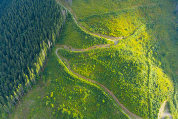 Deforestation from a bird's eye view