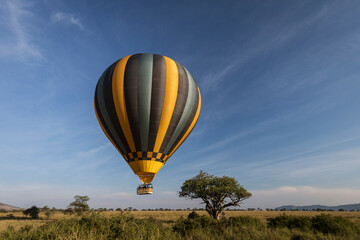Balloon over savana during safari in Serengeti National Park, Tanzania. Wild nature of Africa - obrazy, fototapety, plakaty