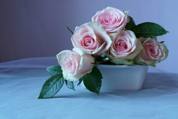 Beautiful background with pink rose	