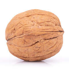 One wallnut isolated on white background. With clipping path