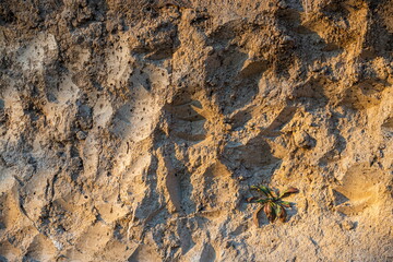 Background of brick stone wall texture. Close up image. Outdoor home decoratio