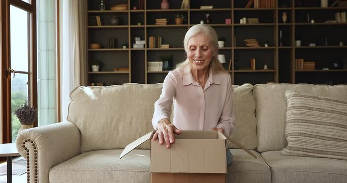 Smiling Older Woman Sit On Couch At Home Unpack Parcel Box With Books Classic Literature, Favourite Bestseller, Received Gift From Friend, While Relocates To New Flat. Express Mail Services Concept