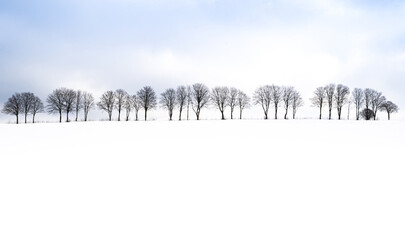 Winterlandschaft im ländlichen Raum.