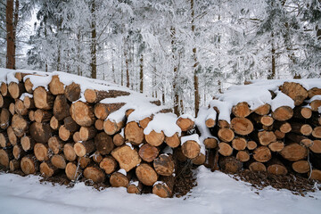 Holzstämme unter einer Schneeschicht.