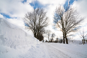 Winterlandschaft im ländlichen Raum.