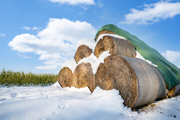 Verschneite Winterlandschaft - Strohballen im Schnee.