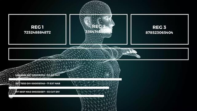 Data and report statistics, animation with graph diagrams.